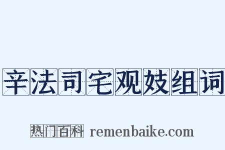 辛法司宅观妓组词是什么意思的图片